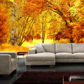 Fotobehang 0079 bos herfst geel bladeren natuur pad