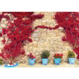Fotobehang poster 1671 bloemen muur rood