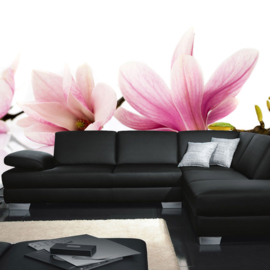 Fotobehang poster 0202 bloemen orchidee roze