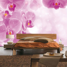 Fotobehang poster 0407 bloemen orchidee roze