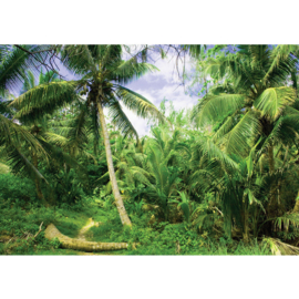 Fotobehang poster 4485 palm bomen bos tropisch regenwoud strand