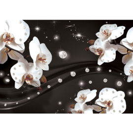 Fotobehang poster 0683 orchidee wit diamant zwart