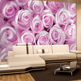 Fotobehang poster 0363 bloemen rozen roos roze
