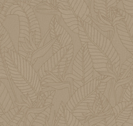 60747 Strelitzia schors bruin hemp