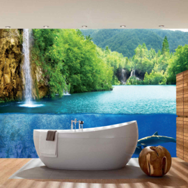 Fotobehang poster 2043 dieren dolfijn aquarium waterval glazen wand