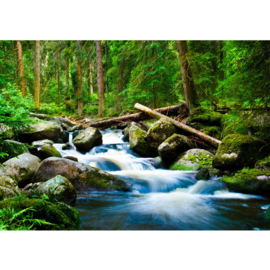 Fotobehang poster 0031 rotsen waterval bos natuur