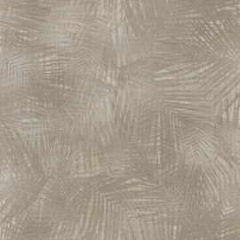 Z12837 tak bruin naturel