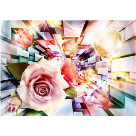Fotobehang poster 0991 bloemen rozen abstract