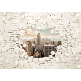 Fotobehang poster 1867 new york stenen muur manhattan