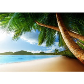 Strand palmbomen vlies fotobehang 200 x 140