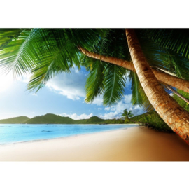 Strand palmbomen vlies fotobehang 400 x 280