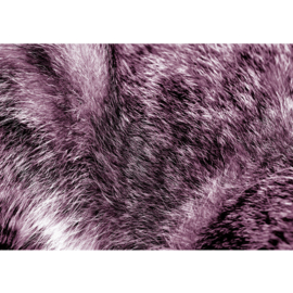 Fotobehang poster 4373 dierenhuid vacht harig skin lila vel