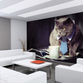 Fotobehang poster 3307 dieren kat poes siamees grijs stropdas