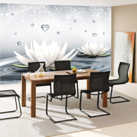 Fotobehang poster 1413 bloemen planten waterlelie