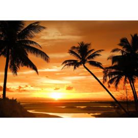 Fotobehang poster 2590 zonsondergang palm strand tropisch