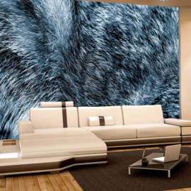 Fotobehang poster 4372 dierenhuid vacht bont harig haar grijs blauw