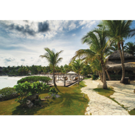 Fotobehang poster 4486  strand palmbomen rieten parasol