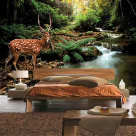 Fotobehang poster 0399 dieren hert in bos met water