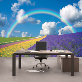 Fotobehang poster 0273 regenboom bollenvelden bloemen veld