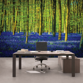 Fotobehang poster 2255 bomen planten blauw groen bos