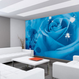 Fotobehang poster 1304 bloemen roos rozen blauw