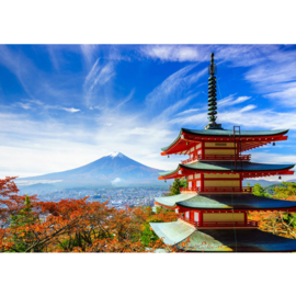Fotobehang poster 0261 japan tokio tempel bergtop