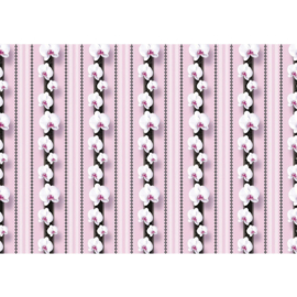 Fotobehang poster 0346 bloemen witte orchidee op roze behangmotief