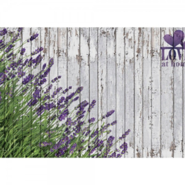 Fotobehang 2402 lavendel schutting wit tekst lila paars