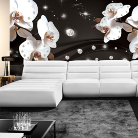 Fotobehang poster 0683 orchidee wit diamant zwart