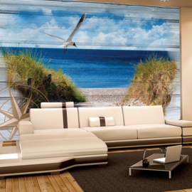 Fotobehang poster 3180 dieren vogel meeuw windroos kompas strand duinen