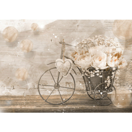 Fotobehang posterv 2174 fiets met bloemen