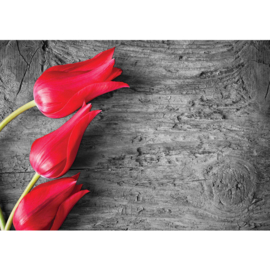 Fotobehang poster 2393 bloemen hout