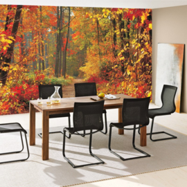 Fotobehang 994 herfst bos 350 x 245