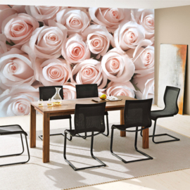 Fotobehang poster 0185 bloemen rozen roze