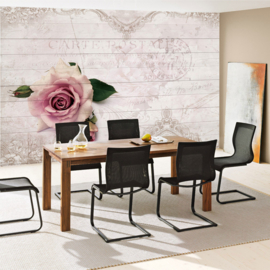 Fotobehang poster 1663 bloemen roos roze