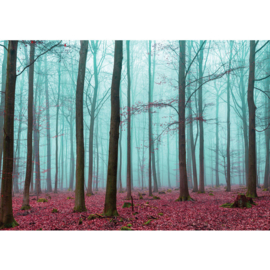Fotobehang poster 0818 bomen herfst bos blaadjes