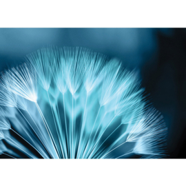 Fotobehang poster 0786 paardenbloem blauw