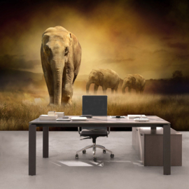 Fotobehang poster 0011 dieren olifant kudde olifanten