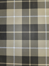 Schotse ruit burberry beige