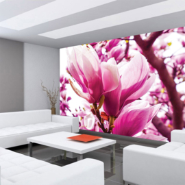 Fotobehang poster 1203 bloemen magnolia roze