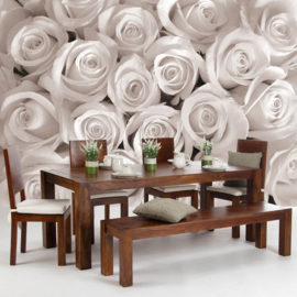 Fotobehang poster 1232 bloemen rozen roos wit