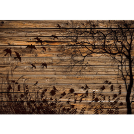 Fotobehang poster 2050 bruin hout planken boom gras vogels
