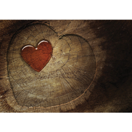 Fotobehang poster 0332 hout hart bruin