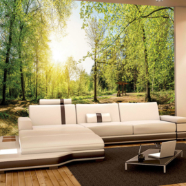 Fotobehang poster 3350 bomen vlakte bos groen natuur rotsen