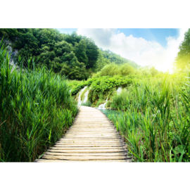 Fotobehang poster 0093 natuur  houten weg houten planken steiger riet bergen