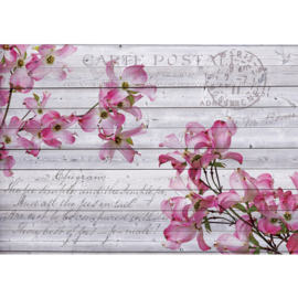 Fotobehang poster 1778 bloemen hout grijs roze