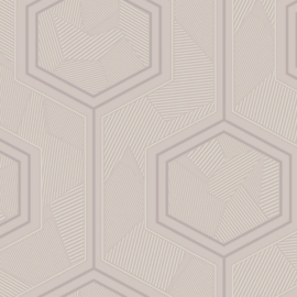 Z12849 grafisch hexagon licht grijs