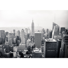 Fotobehang poster 0118 skyline new york big apple zwart wit