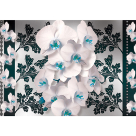 Fotobehang poster orchidee planten bloemen patroon