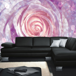 Fotobehang poster 0602 roos roze bloem